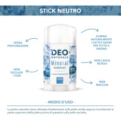 Deo Naturals Stick Original 100