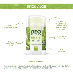 Deo Naturals Stick  Aloe 100