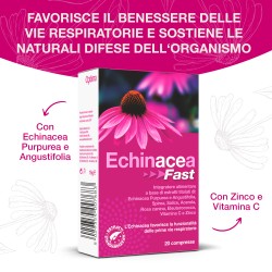 Echinacea Fast