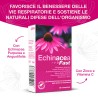 Echinacea Fast