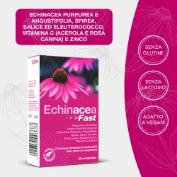 Echinacea Fast