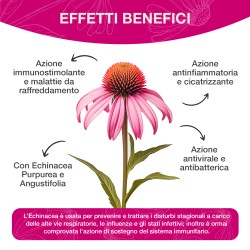 ECHINACEA 30 CAPSULE VEGETALI