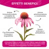 ECHINACEA 30 CAPSULE VEGETALI