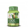 Green Tea EGCG 60 capsules OPTIMA NATURALS