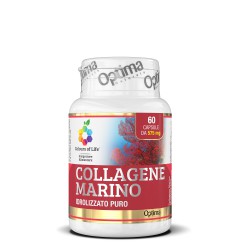 Collagene marino idrolizzato