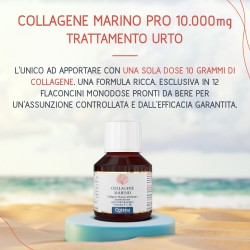 Collagene marino pro 10.000