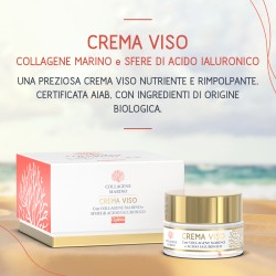 Collagene marino Crema viso