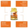 Papaya Plus Fermented 60 tablets OPTIMA NATURALS