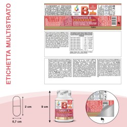 Vitamins B COMPLEX 60 tablets OPTIMA NATURALS