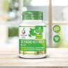 Ginkgo Biloba PLUS