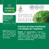 Spirulina MAXIMA