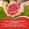 Cuore di Melograno Pressure