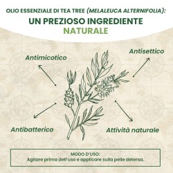 Deodorante roll on Tea Tree 50 ml %separator% %brand%