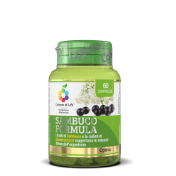 Papaya Plus Fermented 60 tablets OPTIMA NATURALS