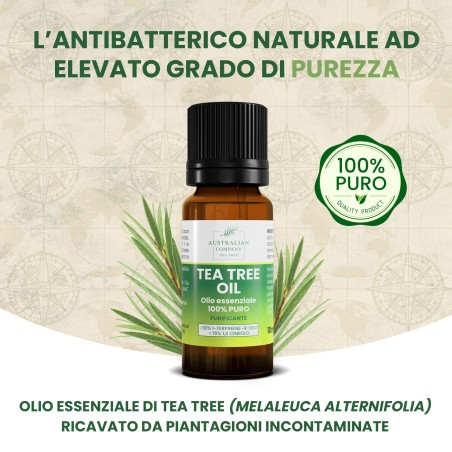 Essential Oil TEA TREE 10 ml OPTIMA NATURALS