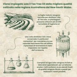 OLIO ESSENZIALE TEA TREE 10 ml