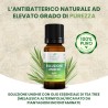 Essential Oil TEA TREE 10 ml OPTIMA NATURALS