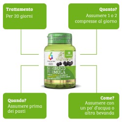 Papaya Plus Fermented 60 tablets OPTIMA NATURALS