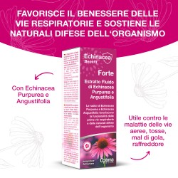 Echinacea Estratto Fluido Forte 50 ml OPTIMA NATURALS