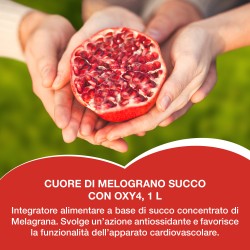 Cuore di Melograno Succo 1L %separator% %brand%