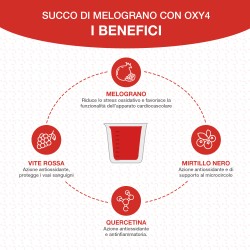 Cuore di Melograno Succo 1L %separator% %brand%