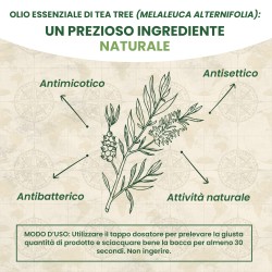 Essential Oil TEA TREE 10 ml OPTIMA NATURALS