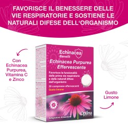 copy of Echinacea Effervescente C