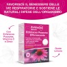 Echinacea Effervescent C %separator% %shop-name%