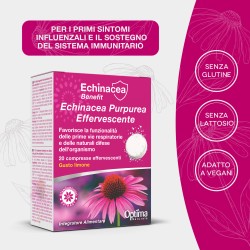 copy of Echinacea Effervescente C