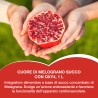 copy of Cuore di Melograno Succo 1LT