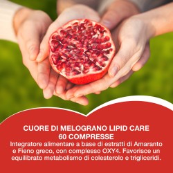 copy of Cuore di Melograno Succo 1LT
