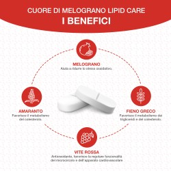 copy of Cuore di Melograno Succo 1LT