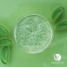 Aloe Vera Gel con cetriolo