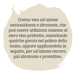 Water Cream crema viso 50ml