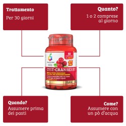 CYST Cranberry