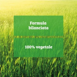 Omega 369 Veg 60 softgel %separator% %brand%