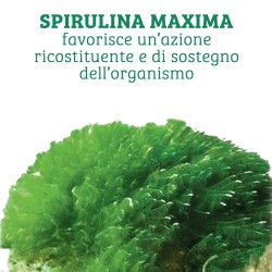 Spirulina MAXIMA