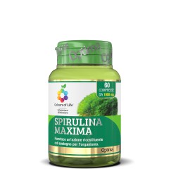 Spirulina MAXIMA