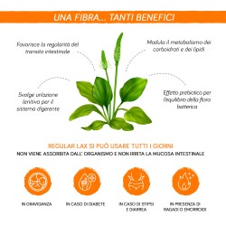 Regular LAX Provida  Agrumi 150g %separator% %brand%%separator%%separator%%shop-name%%separator%%separator%%shop-name%