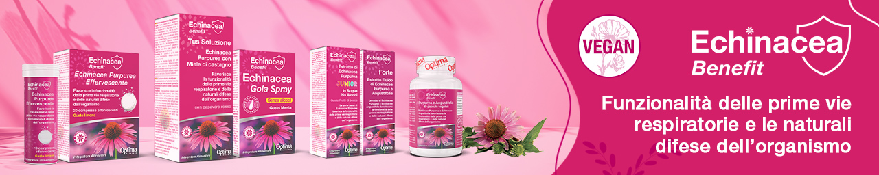 banner%20home%20echinacea.jpg